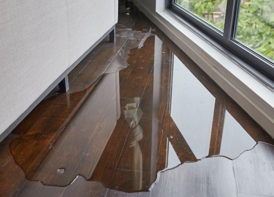 water_mold_damage